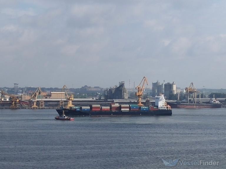 CONTSHIP CUP photo