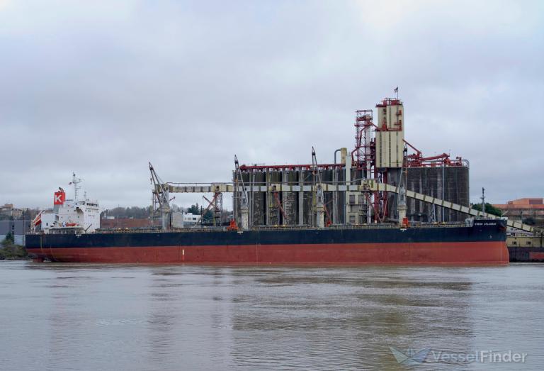 VIRGO COLOSSUS, Bulk Carrier - Details and current position - IMO ...