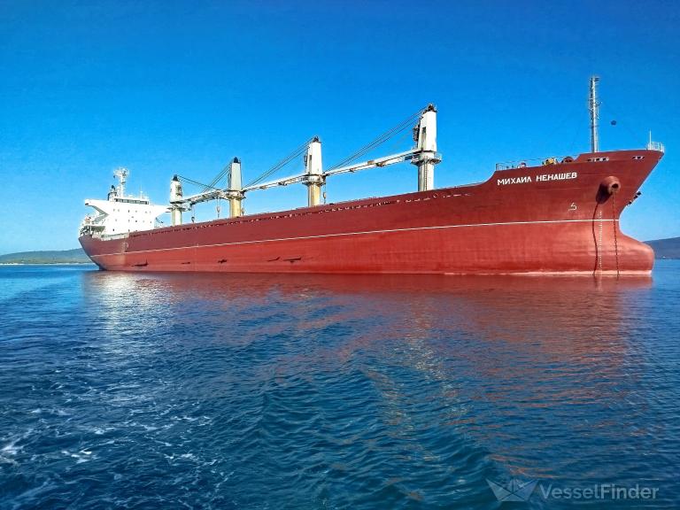 MIKHAIL NENASHEV photo