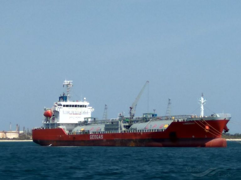 BWEK MADAGASCAR photo