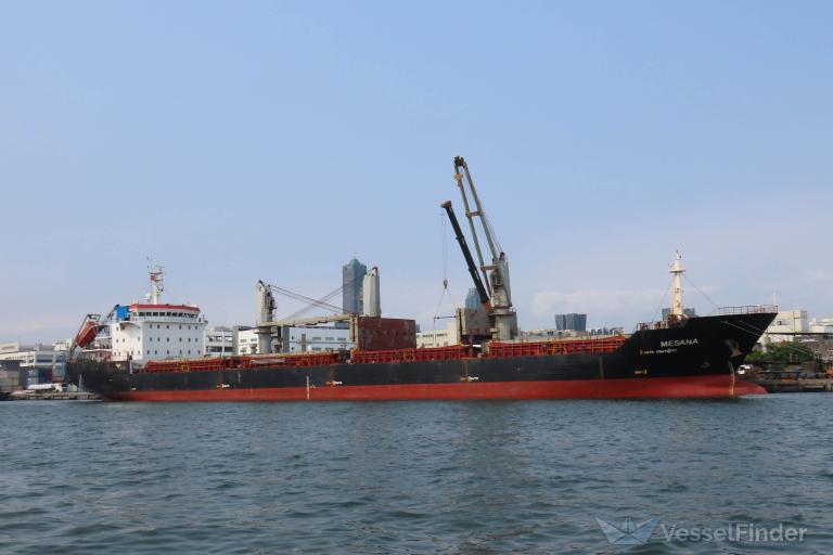MESANA photo