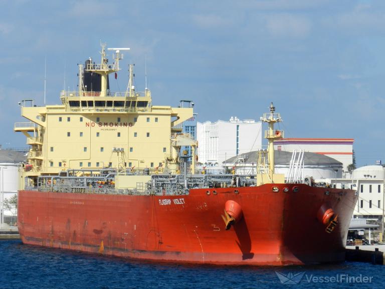 FLAGSHIP VIOLET photo