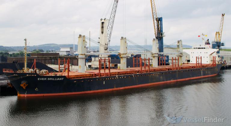 EVER BRILLIANT photo