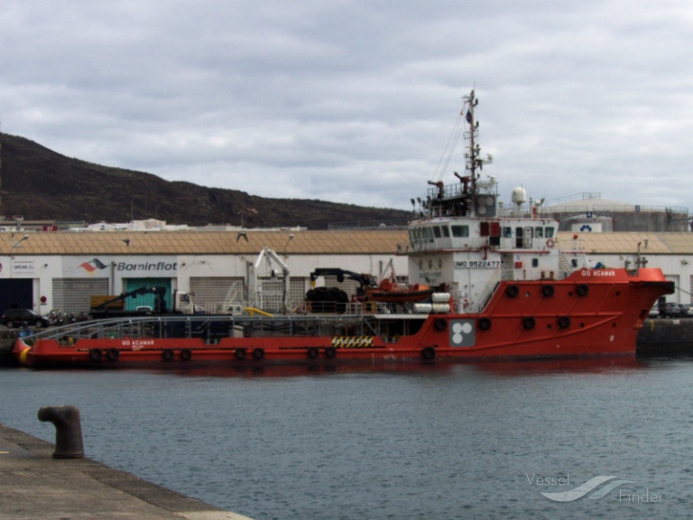 ●弓 Brazilwood Imitated Whale 4/4 ○弓 Brazilwood Imitated Whale 4/4