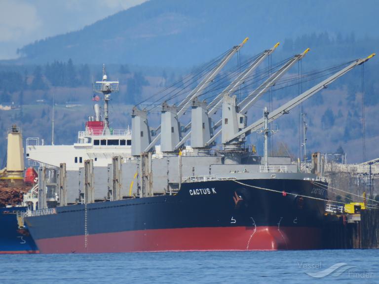 FULVIA, Bulk Carrier Schiffsdaten und aktuelle Position IMO 9524669
