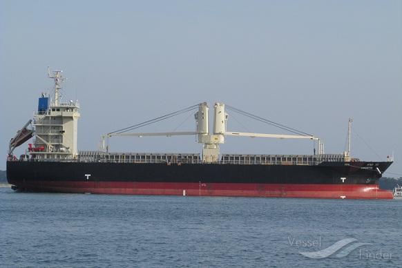 DK APOLLO photo