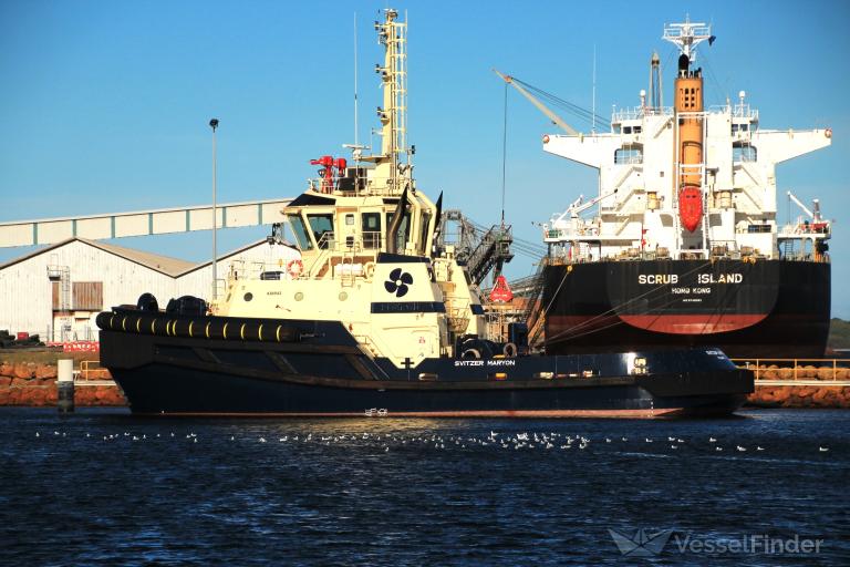 SVITZER MARYON photo