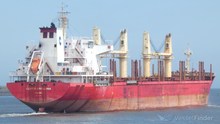 CLIPPER APOLLONIA photo