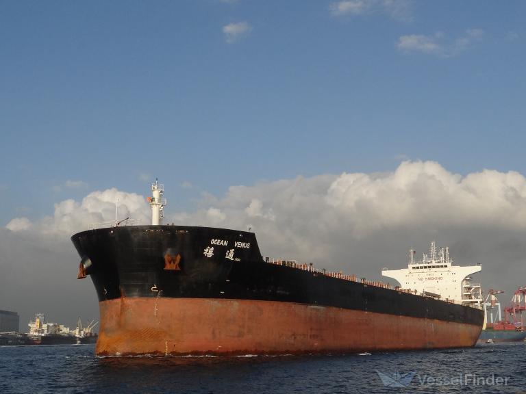 OCEAN VENUS, Bulk Carrier Details and current position IMO 9534975