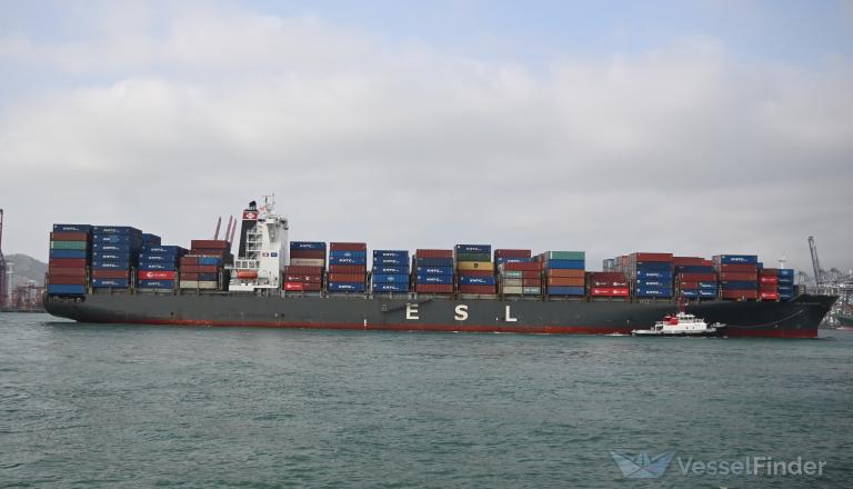 ESL NHAVA SHEVA photo