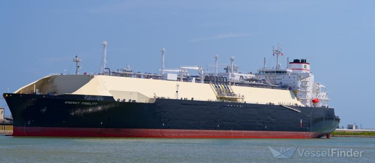 ENERGY FIDELITY photo