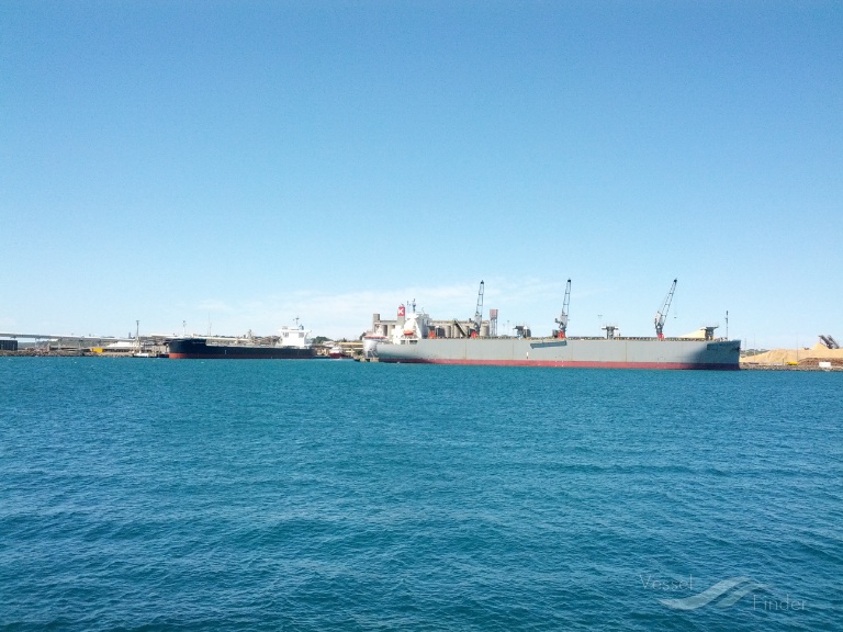 FOREST SYMPHONY photo