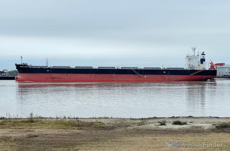 OINOUSSIAN COURAGE photo