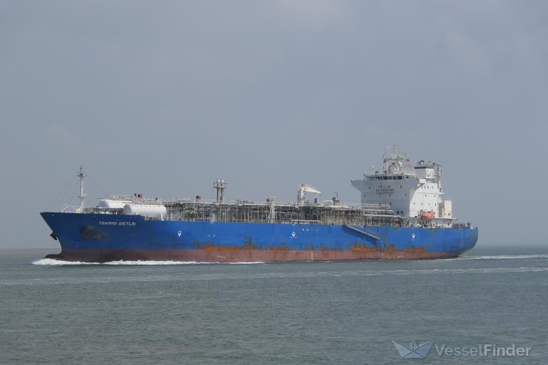 MANTA BEYLERBEYI photo