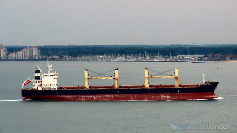 LUNA DISCOVERY photo