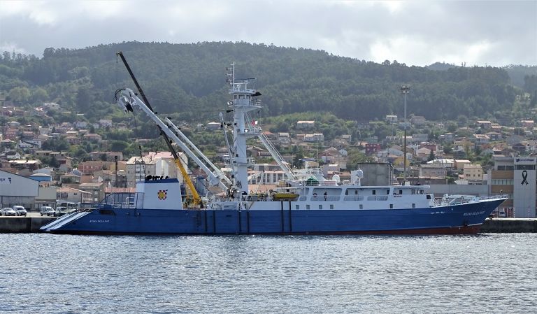 REINA DE LA PAZ photo