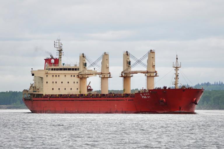 PAN IVY, Bulk Carrier - Details and current position - IMO 9548316