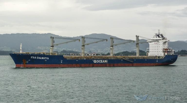 STAR DALMATIA