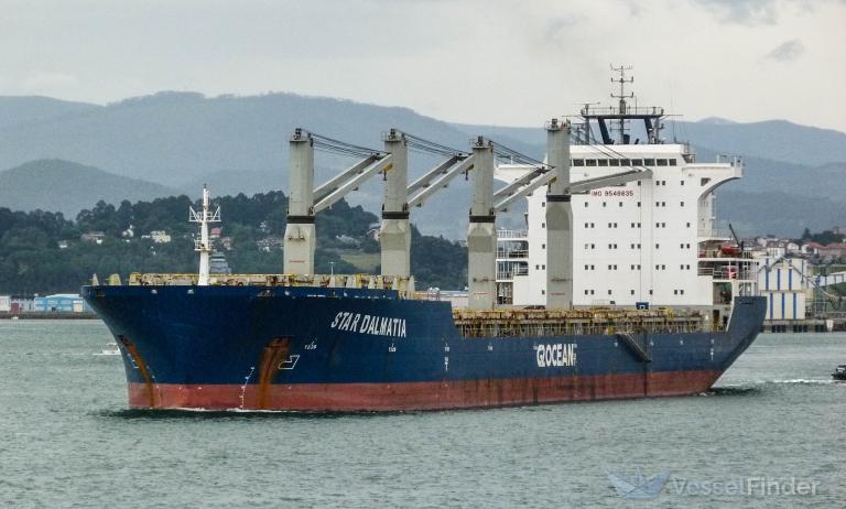 STAR DALMATIA