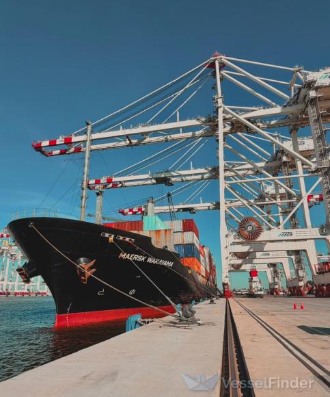 MAERSK WAKAYAMA