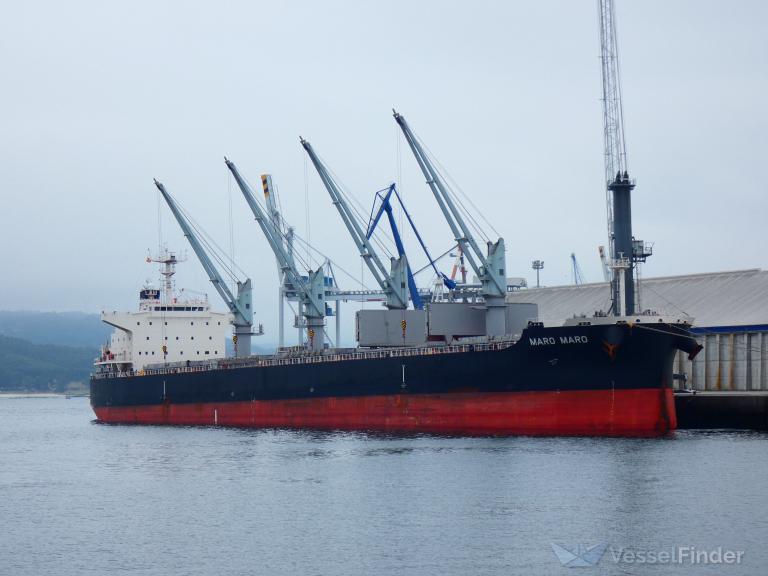福袋・半額ポスター - クリーニング屋さん専用の通 MARO MARO, Bulk Carrier - Details and current position - IMO シャツ/ブラウス(半袖/袖なし)
