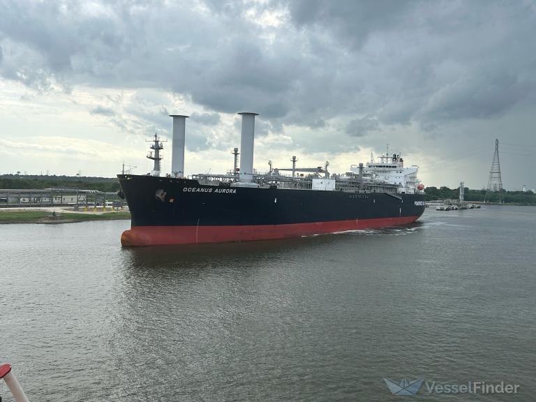 OCEANUS AURORA photo