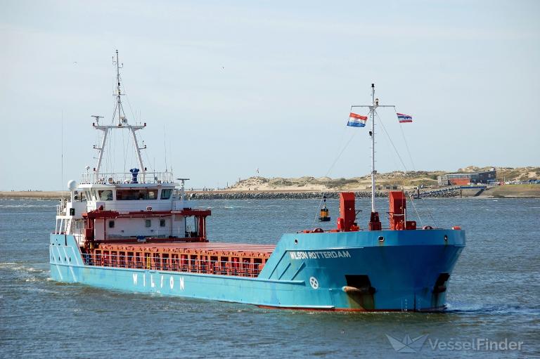 WILSON ROTTERDAM photo