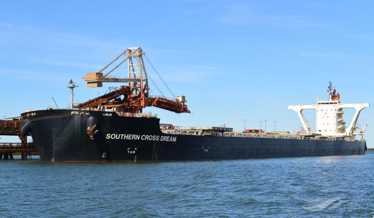 SOUTHERN CROSS DREAM photo