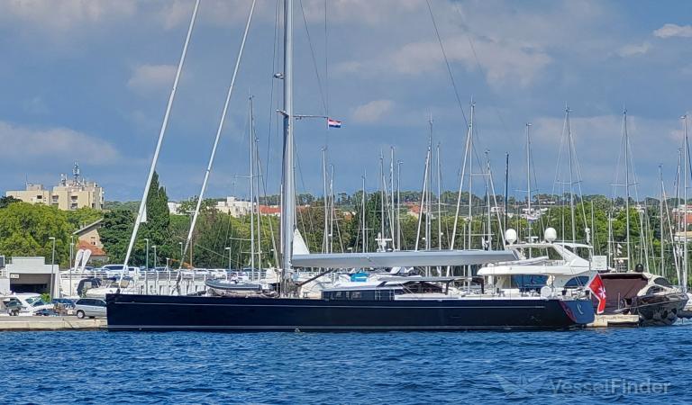 SY CERVO photo