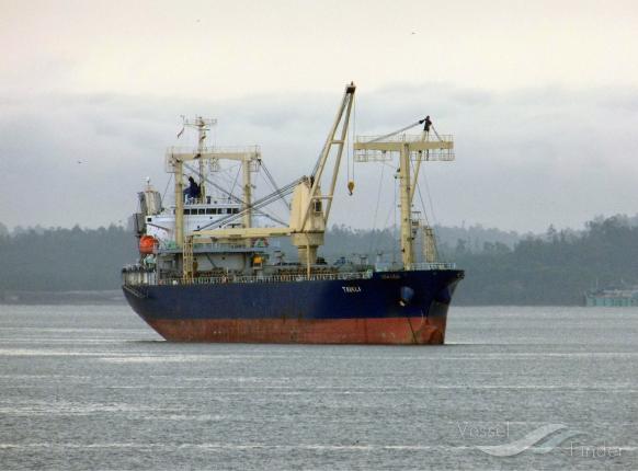 TAIKLI photo