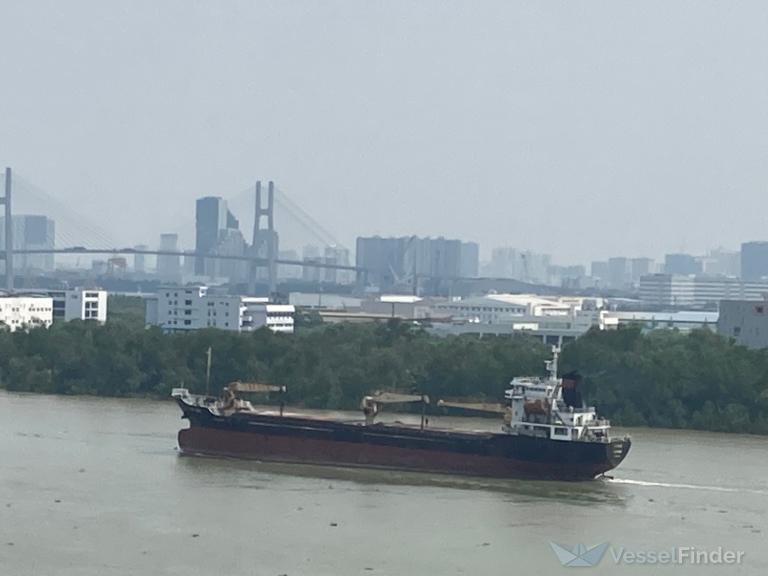 VINH QUANG GOLD photo