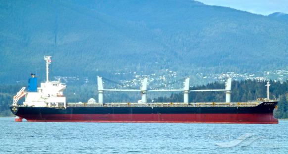 ATLANTIC EMBLEM, Bulk Carrier Schiffsdaten und aktuelle Position