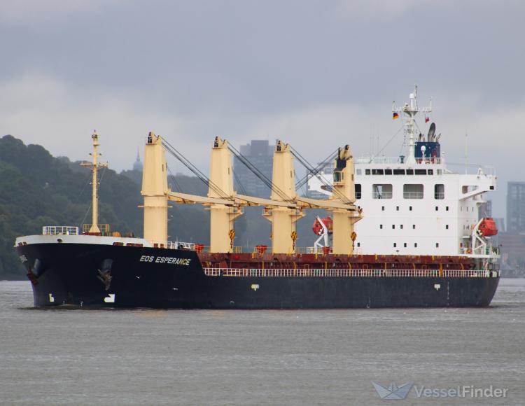 TRAWIND DOLPHIN photo