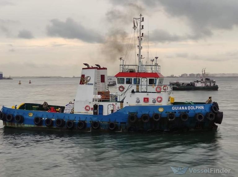 GUIANA DOLPHIN photo