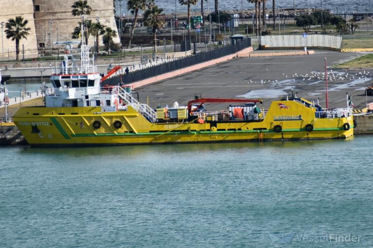 IEVOLI SHUTTLE photo