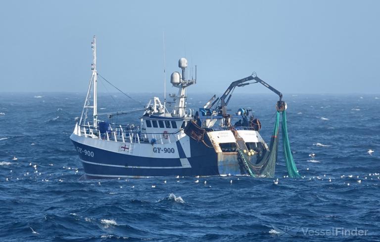 JUBILEE QUEST GY900 photo