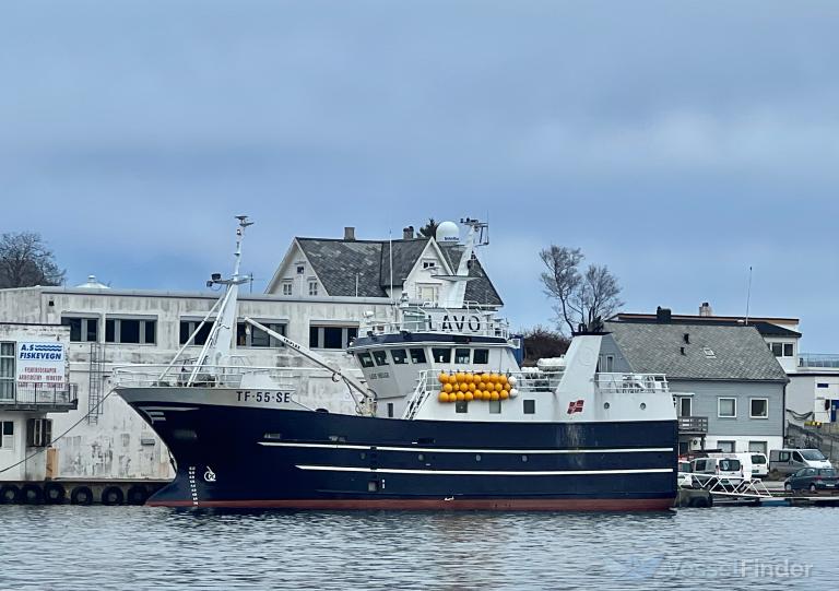 LEIF HELGE photo