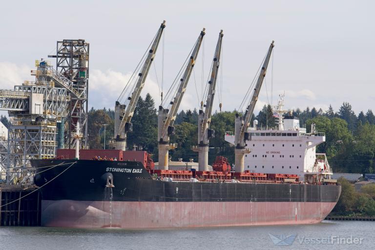 STAR STONINGTON photo