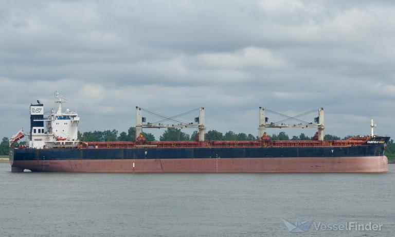 STAR FAIRFIELD photo