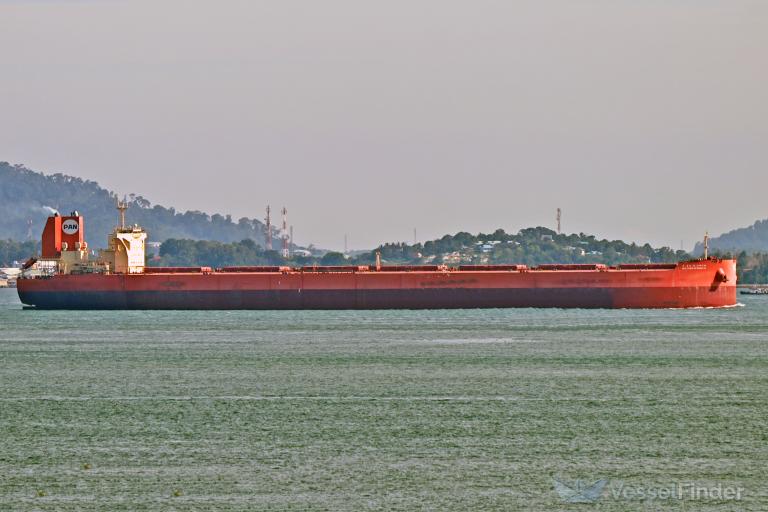 SEA PONTA DA MADEIRA photo