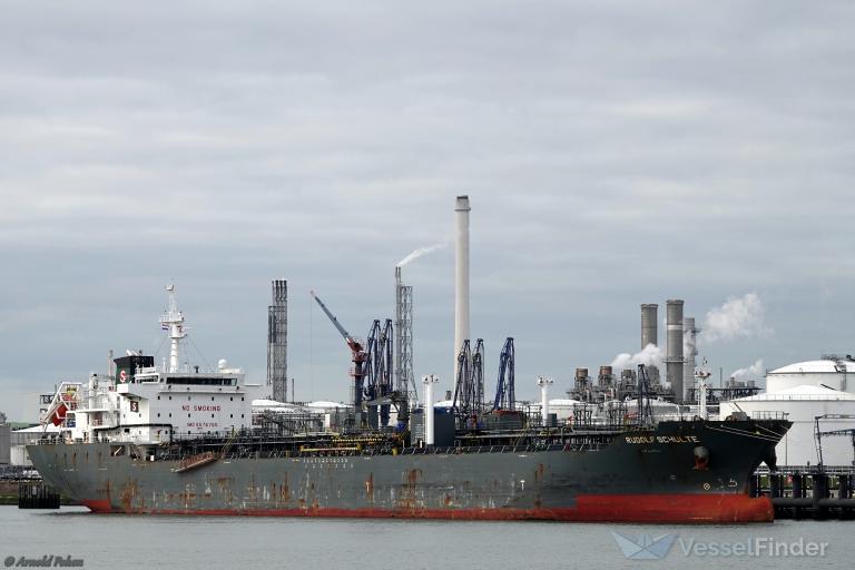 RUDOLF SCHULTE photo