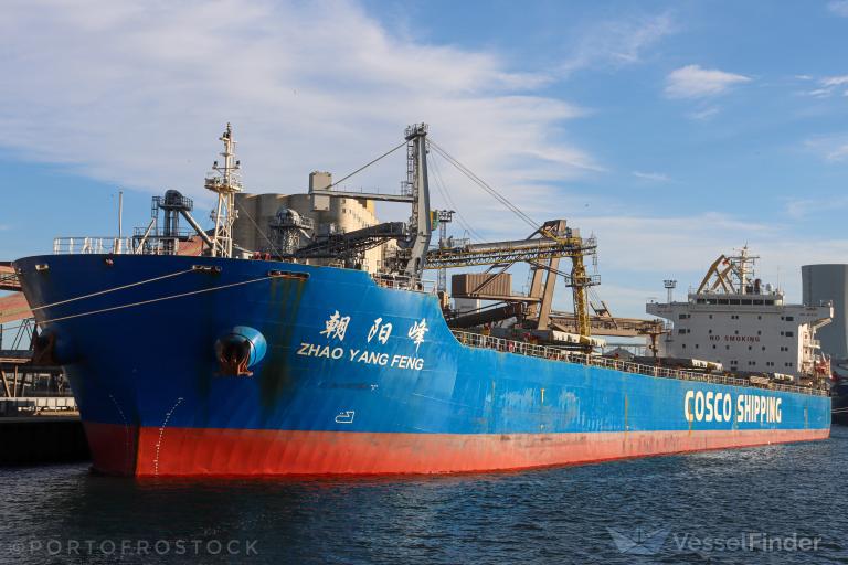 ZHAO YANG FENG photo