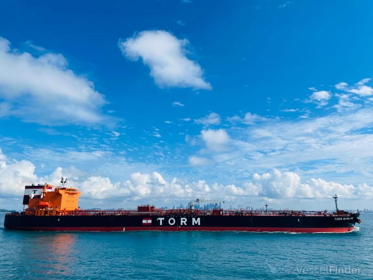 TORM EVOLVE photo
