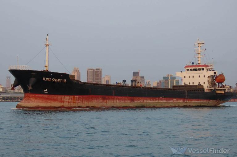 YONG SHENG VII photo