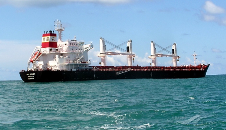 Capetan Vassilis Ii Bulk Carrier Details And Current Position