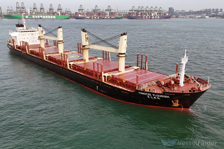 OCEAN RELAY, Bulk Carrier - Details and current position - IMO 9584229 ...