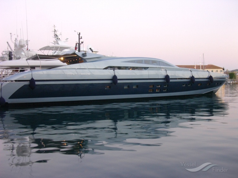 BLUE PRINCESS STAR photo