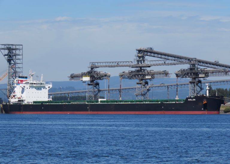 AVALON, Bulk Carrier Details and current position IMO 9585728