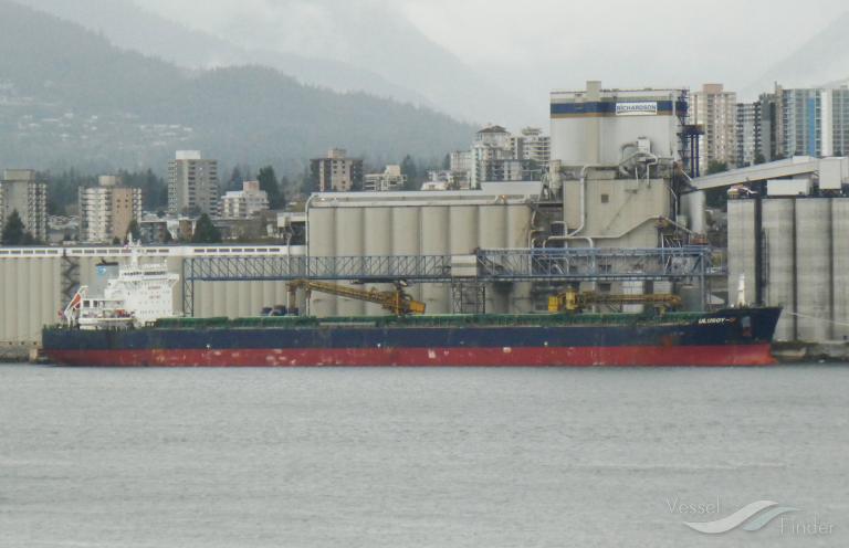 Ulusoy 11 Bulk Carrier Gemi Detaylari Ve Guncel Harita Konumu Imo 9586411 Mmsi 271042566 Vesselfinder