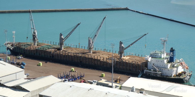 PHOENIX NEREID photo